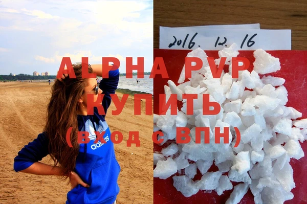 стаф Абаза