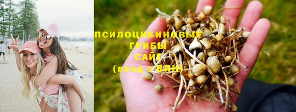 стаф Абаза